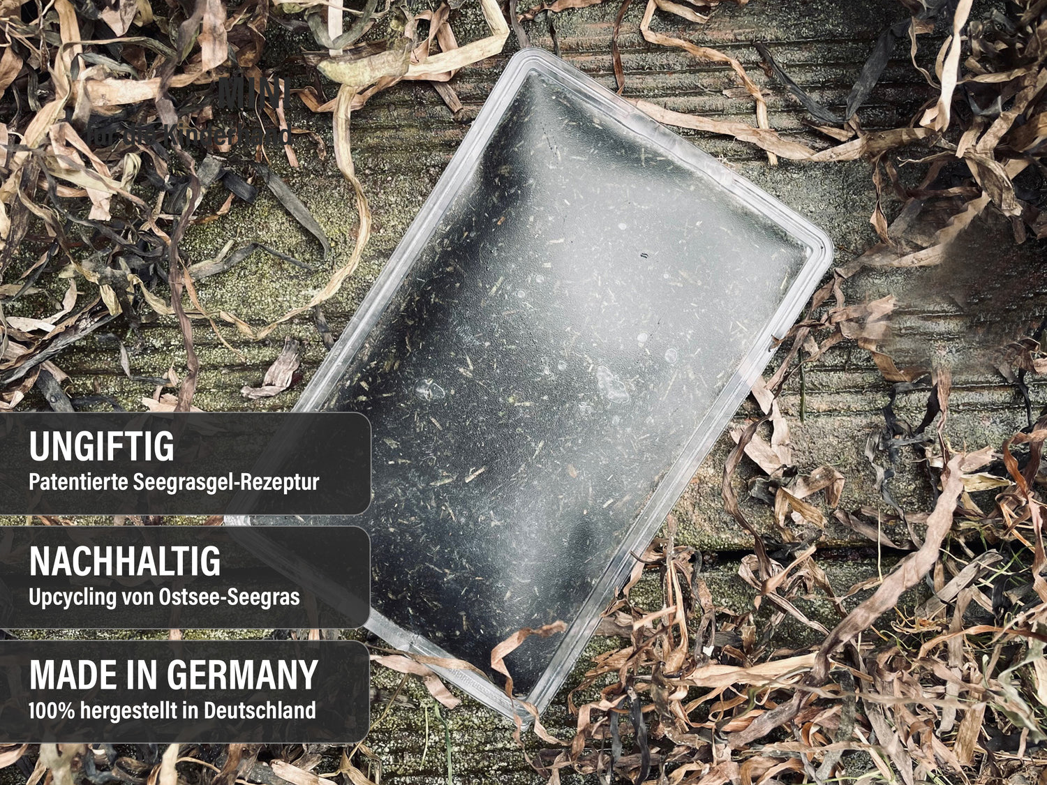 BIOThermare Dinodoktor DIEGO (MINI)